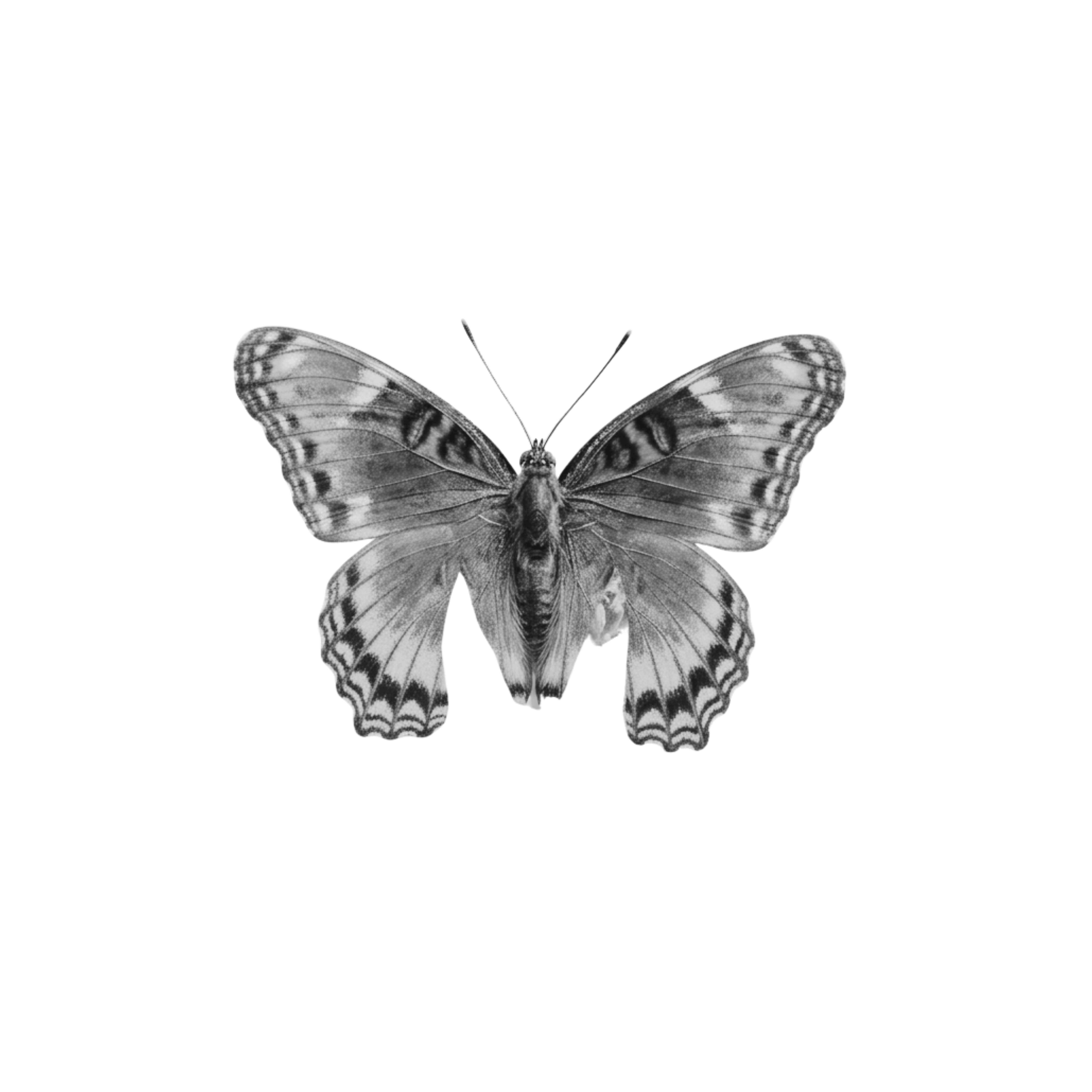 Metanoia